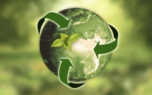 The Challenges and Rewards of Business Sustainability